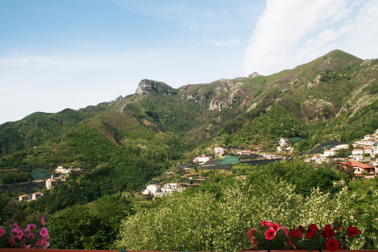 트라몬티 Tra I Monti B&B 외부 사진